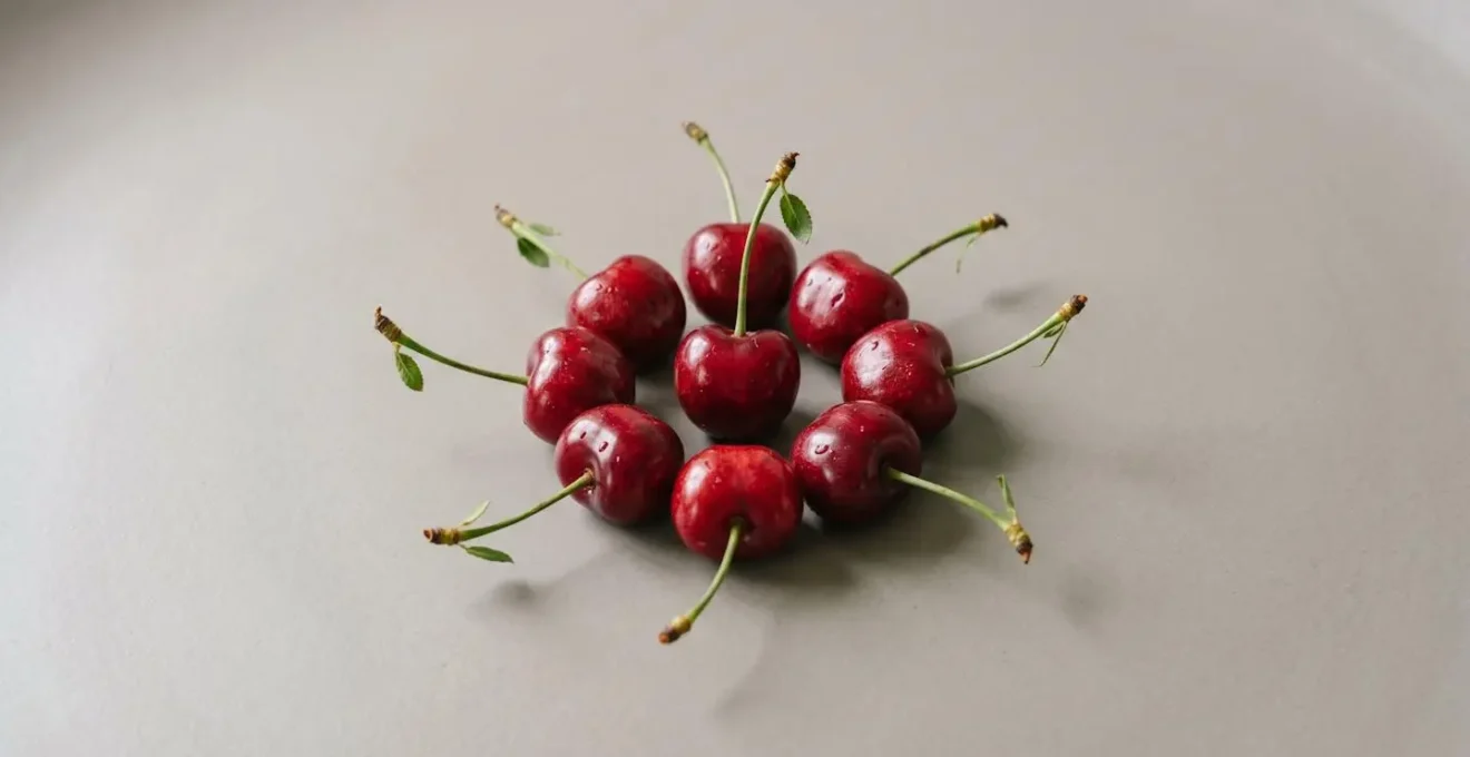 Cerises Montmorency fraîches montrant leur couleur rouge intense riche en antioxydants