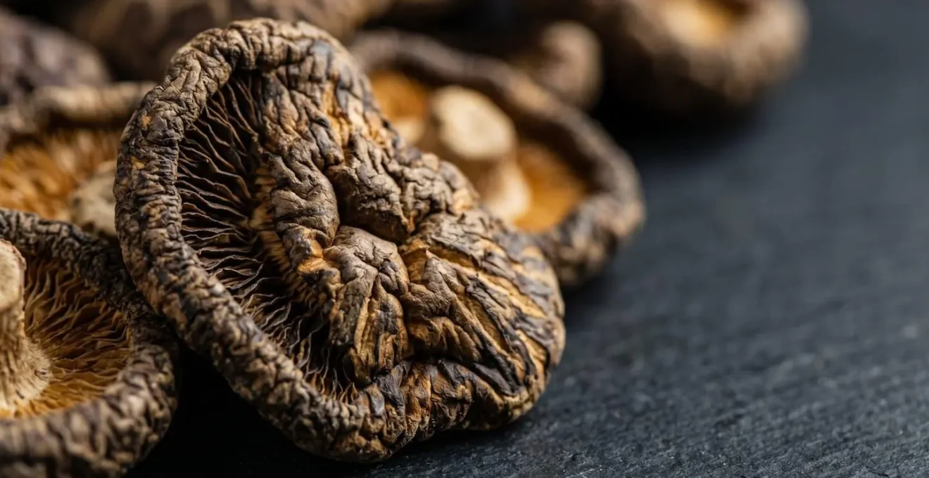 Gros plan sur des champignons shiitake séchés révélant leur texture riche et leurs détails